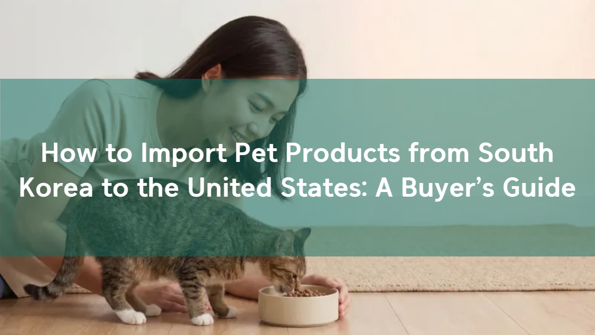 Import Pet Products from South Korea to the US: Your Guide